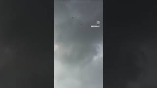 Bursa roller #oynar #birds #hayvansevgisi #güvercin #hayvanlar #güvercin #animals #pigeon