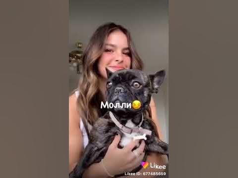 Как назвать собаку девочку - YouTube