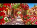 إذا شعرتَ بثقلٍ في ذهنك، فامشِ عبر حديقة الورود هذه 🌹 دربٌ يُهدئ الروح فورًا 💗