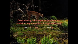 Deep learning, false negatives/positives and predator-prey interactions: Peregrinations in R.
