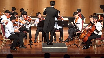 J. Suk, Serenade for Strings in E flat Major, Op. 6, 4th