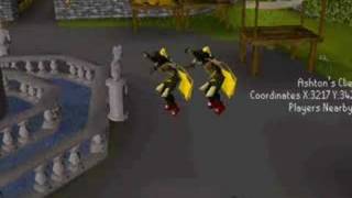 wolfscape party vid2