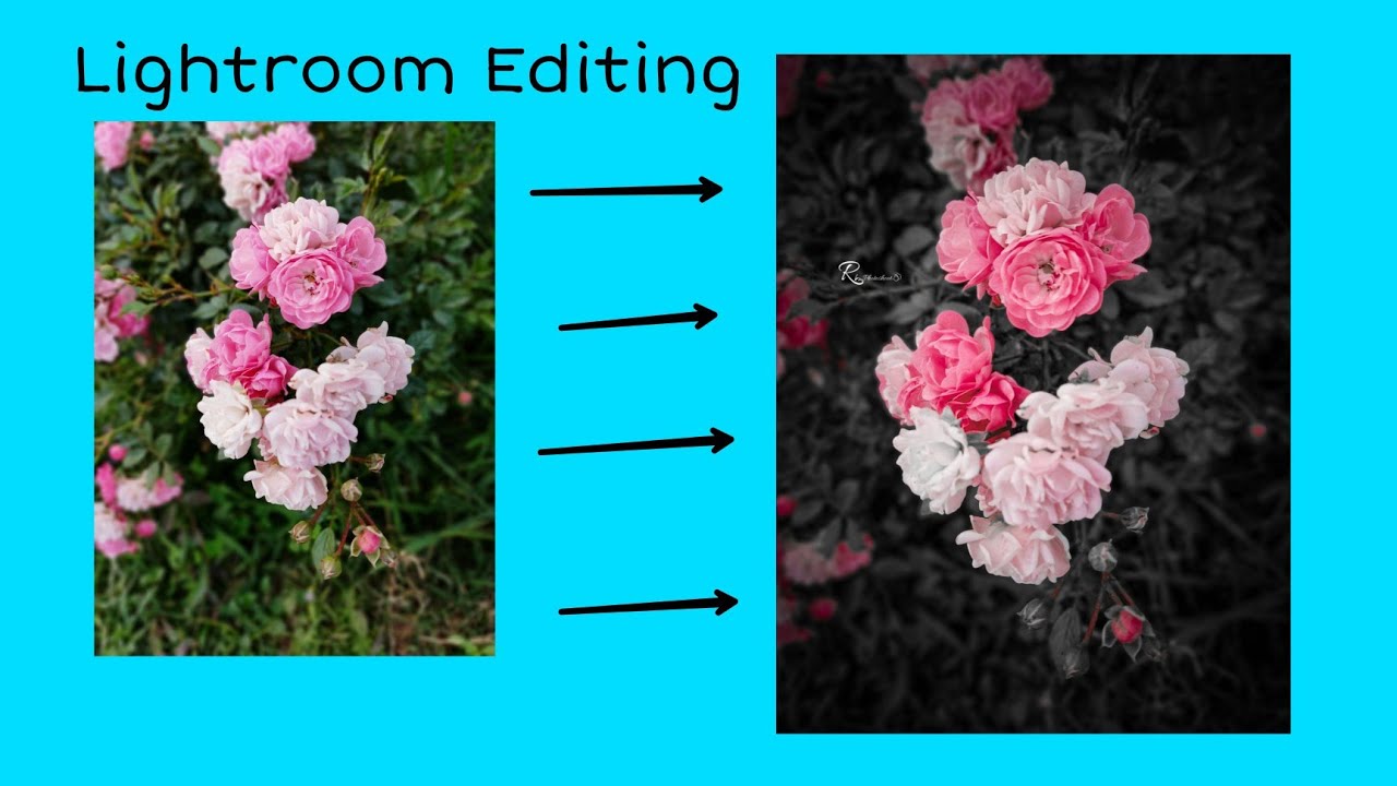 Flower Lightroom Editing YouTube