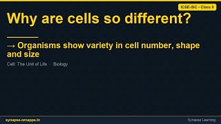 Organisms show variety in cell number, shape and size | ICSE-ISC Class 9 Biology | Synapse