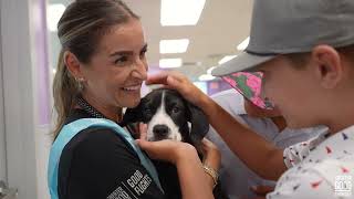 Clear The Shelters: Helping Pets Find Forever Homes