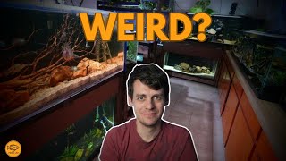 Fishkeepers are WEIRD