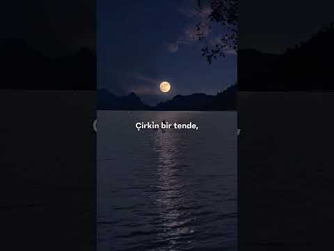 Ağlamak Için Gözden Yaş Mı Akmalı Motivasyon Shorts