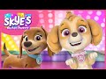 Pup Boogie Dance Party Skye S Music Party PAW Patrol Music Video Pup Boogie Dance Party Skye S Music Party PAW Patrol Music Video