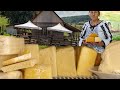 How Cheese is Made at a Romanian Traditional Farm