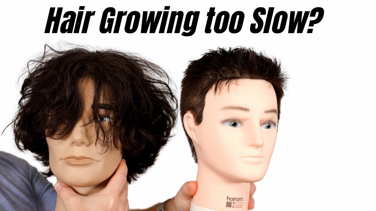 6 Slow Hair Growth Causes And Their Solutions  Better Not Younger