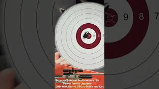 100 yard BRK Sonoron .30 cal results #airgun #accuracy #test