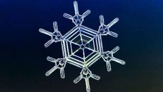 See a snowflake grow before your very eyes