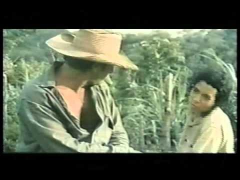 AQUELLA LARGA NOCHE (1979), una pelcula de Enrique Pineda Barnet