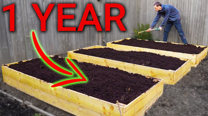 How Much Food Can I Grow in 1 Year? - DayDayNews