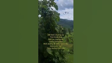 Địa Huyệt Chuông Chùa Xứ Lạng Cao Bằng