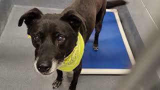 acs A669998