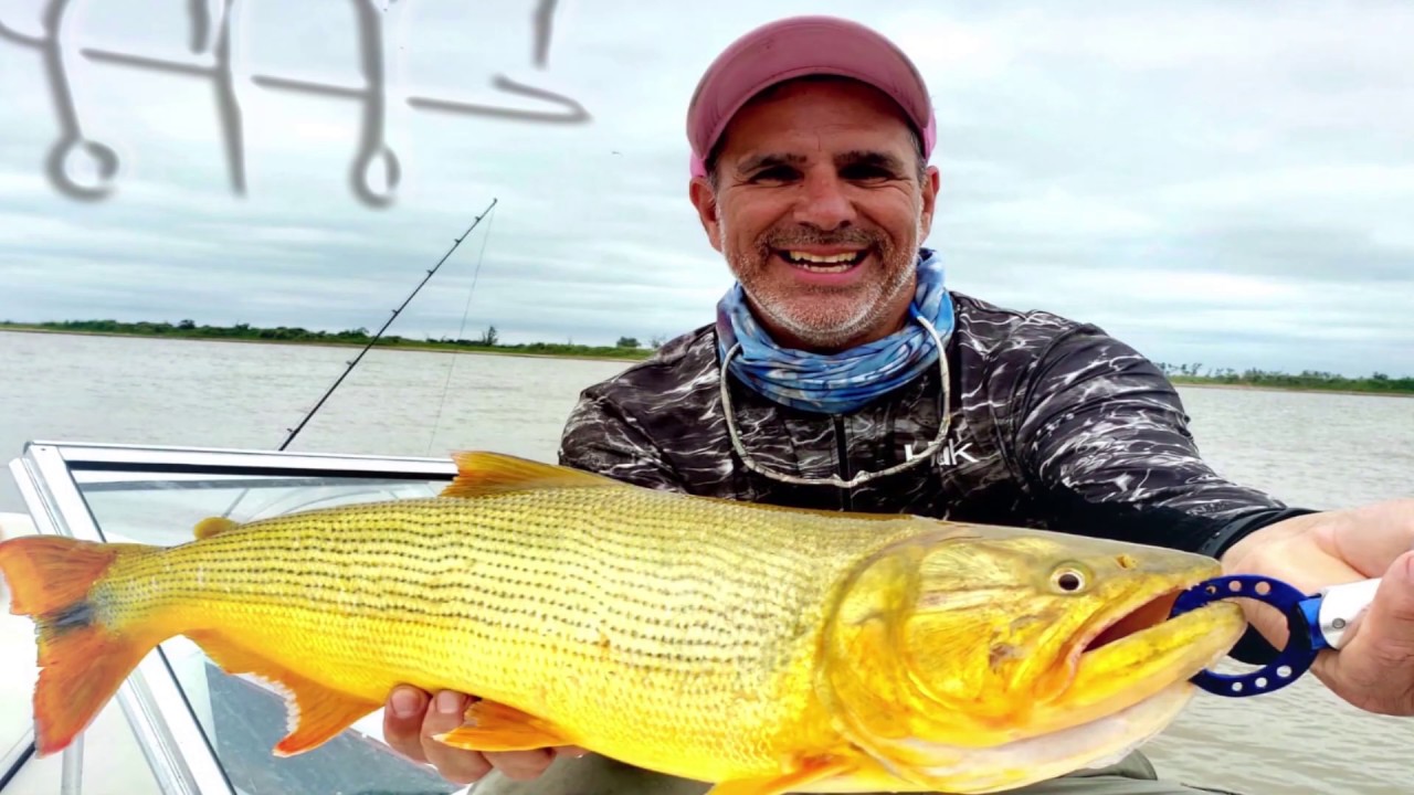 Pesca Embarcada Costa Del Este Local Business In Buenos Aires