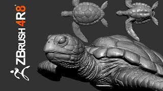 Sculpting a Carey Turtle From Scratch in ZBrush 4R8 - Part 01