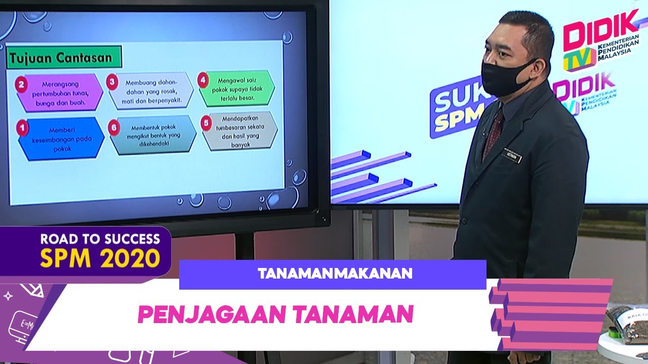 Sukses SPM (2021) | Tanaman Makanan - Penjagaan Tanaman