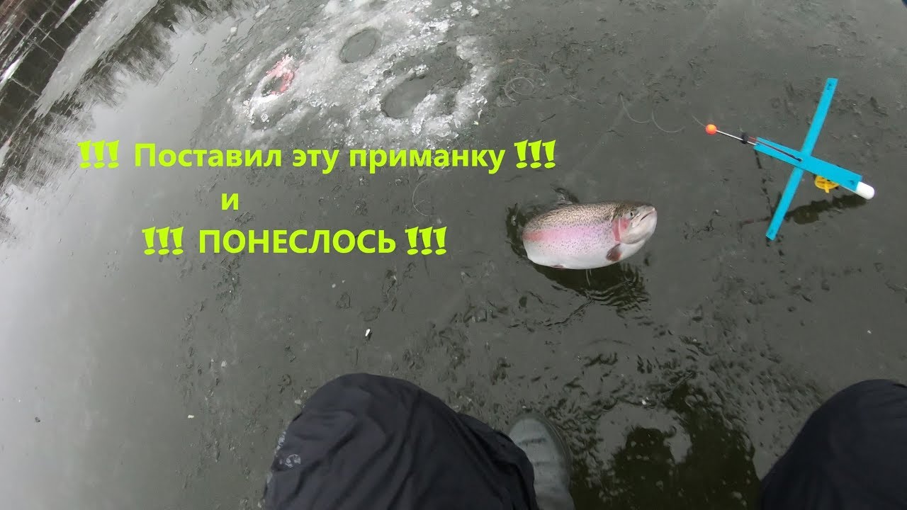 Рыбалка на ФОРЕЛЬ !!! ПЕРВЫЙ ЛЕД !!! Поставушка на ФОРЕЛЬ МОНТАЖ