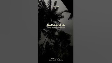 تلاوه من سورة ابرهيم استمع وارح قلبك🌿 #قرآن  #quran #سورة_إبراهيم   #صلوا_على_النبي