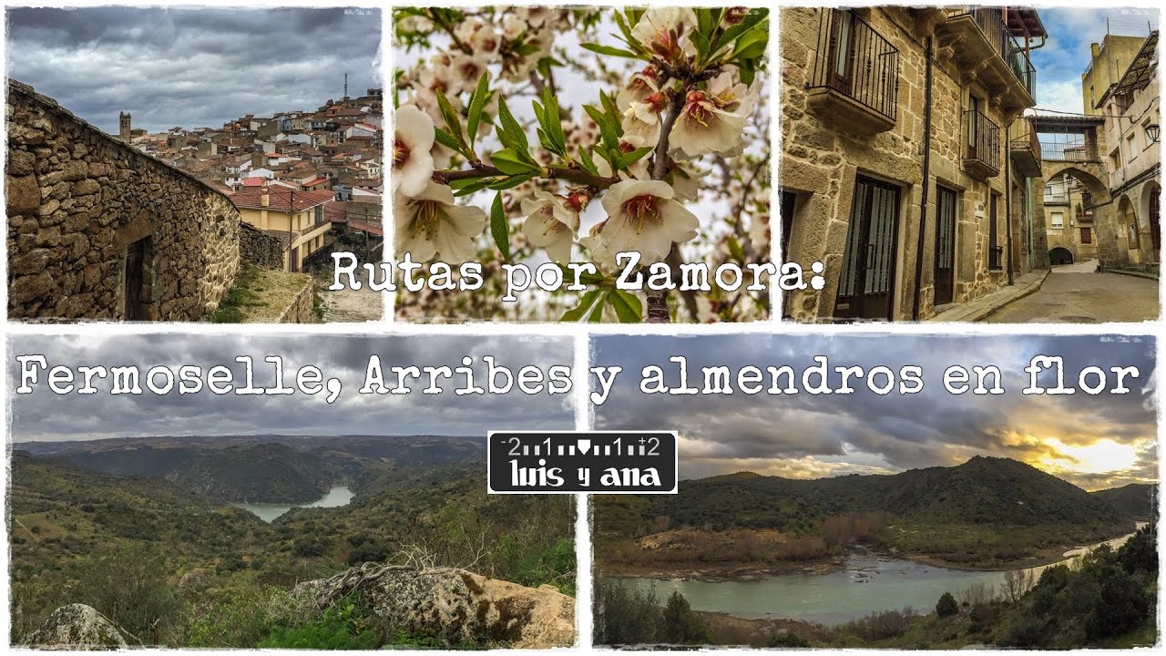 Rutas por Zamora: Fermoselle, Arribes y almendros en flor