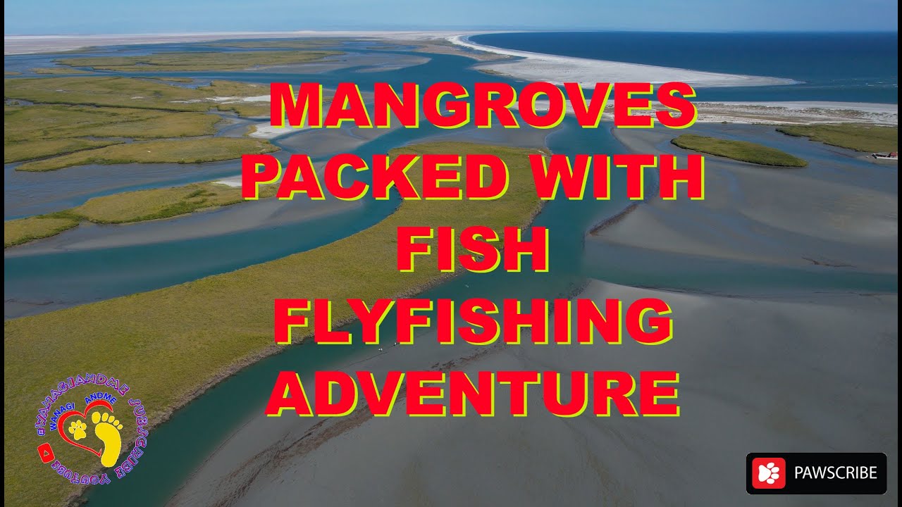 4x4 Truck Camper Trailer Adventure Walking Mud Flats FlyFishing Mangroves Back in Baja Mexico