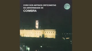 Oh Tempo Volta P'ra Trás