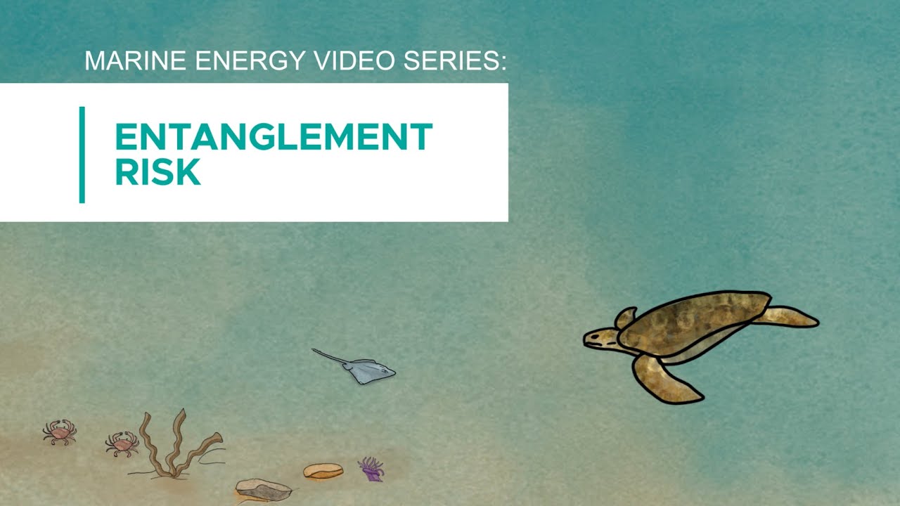 Marine Energy Video Series: Entanglement Risk - YouTube