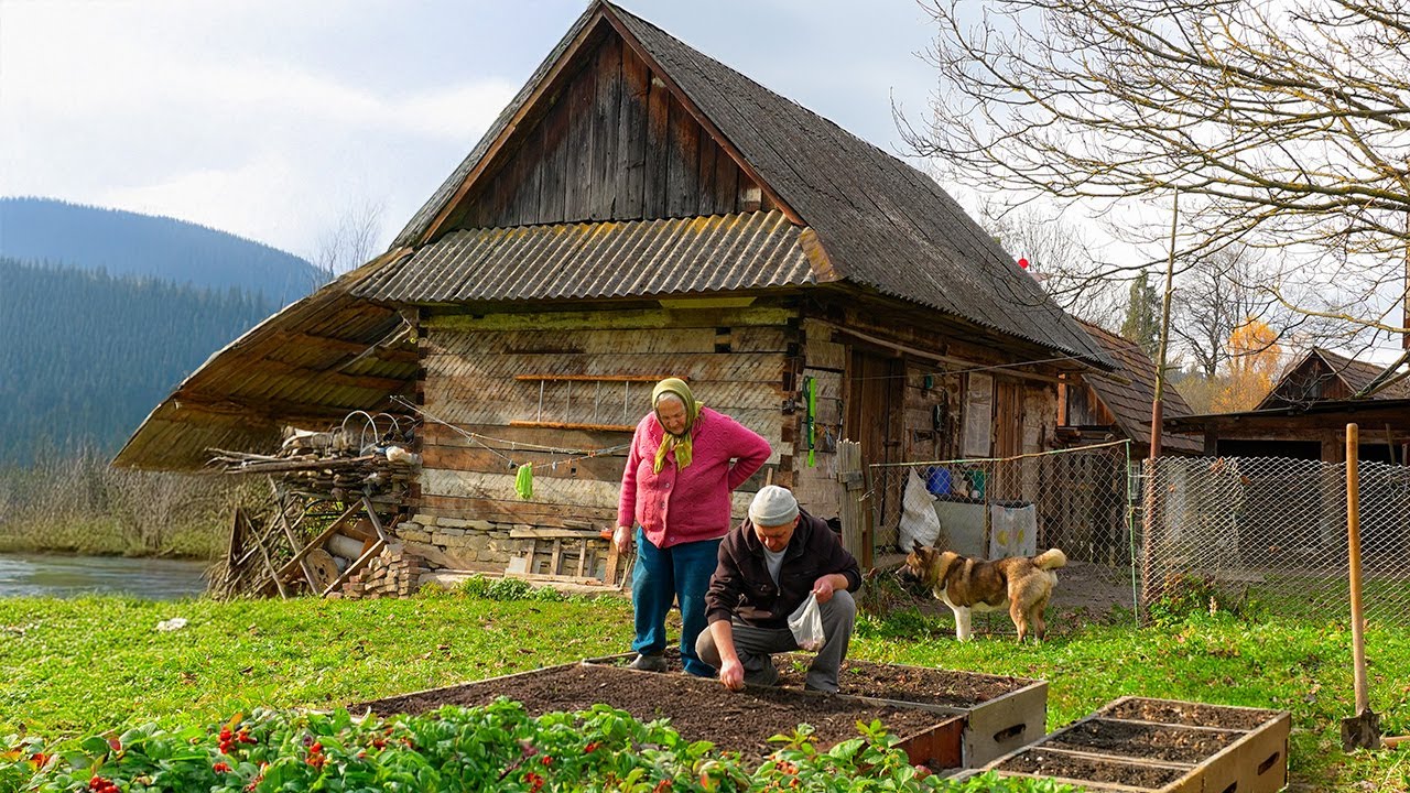 Elderly Mother and Son Discover Giant Mushrooms in the Forest!