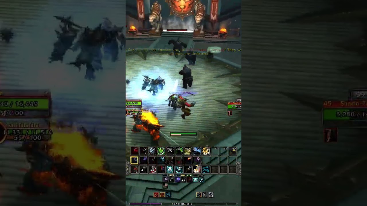 World of Warcraft The War Within Beastmastery Hunter 