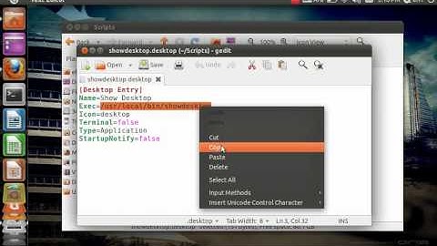 How To Add Desktop Launcher To Ubuntu Unity Interface & Activate Cntrl+Alt+D
