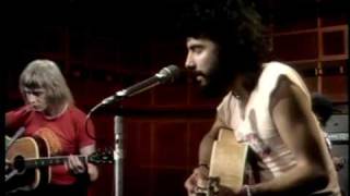 Cat Stevens -  If I laugh