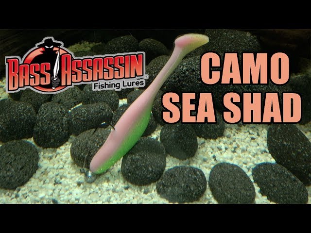 Bass Assassin: Camo Sea Shad! Lure action! Underwater! Full HD 