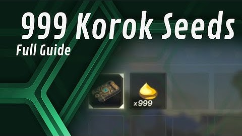 How to get 999 Korok Seeds in The Legend of Zelda: Breath of the Wild
