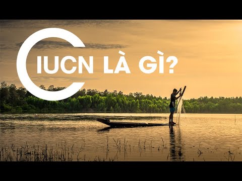 Video: Liên minh Bảo tồn Thiên nhiên và Tài nguyên Thiên nhiên Quốc tế (IUCN). Sách Đỏ của Liên minh Bảo tồn Thiên nhiên Quốc tế. Liên minh Bảo tồn Thiên nhiên Quốc tế ở Nga