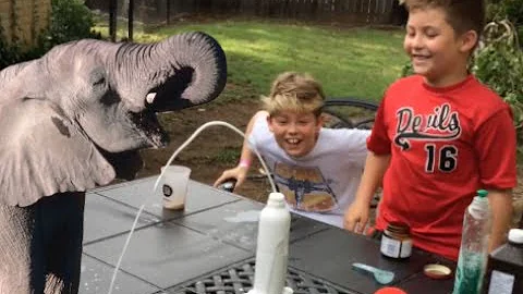 Elephant Toothpaste - Easy science experiment you can do at home!