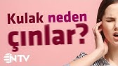 Onadron Simple Goz Ve Kulak Damlasi Prospektusu