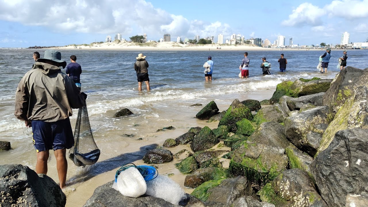 Pescarias de tarrafas, 22-02-25, Molhes de Imbé, RS. Bela paisagem! #pescadetarrafa #netfish