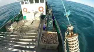 Northern Star - Scalloping in Australia