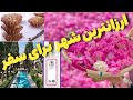 10شهر ارزان برای سفر ارزان ترین شهرهای ایران برای سفر را بشناسین 10شهر ارزان برای سفر ارزان ترین شهرهای ایران برای سفر را بشناسین
