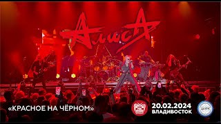 Алиса - Красное на чёрном (Live • Владивосток • 20.02.2024)