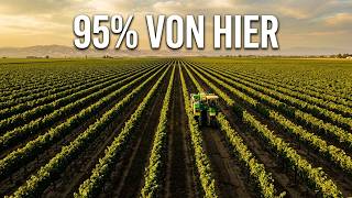 95% aller US-Trauben stammen von HIER!