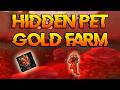This Secret WoW Pet Farm Will Make You Big Gold!