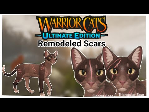 WCUE IDEAS: NEW remodeled FACE and BODY SCARS!! + HEAD MODEL UPDATE || Sun Step WCUE