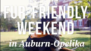 Fur-friendly Weekend in Auburn-Opelika