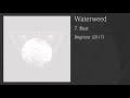 Waterweed - Rust