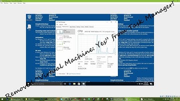 How to remove VM Task Manager "Virtual Machine: Yes"