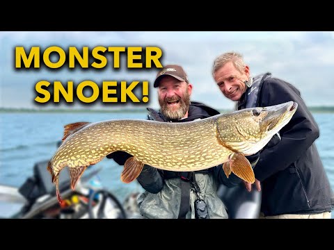 Video: In welke staat is de piek van de snoek?