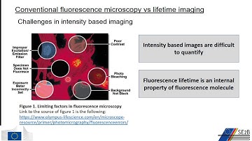 Fluorescence lifetime imaging microscopy